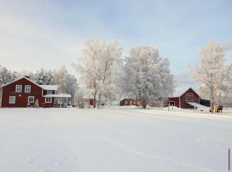Hus I Ljuset Villa Näsåker Eksteriør bilde
