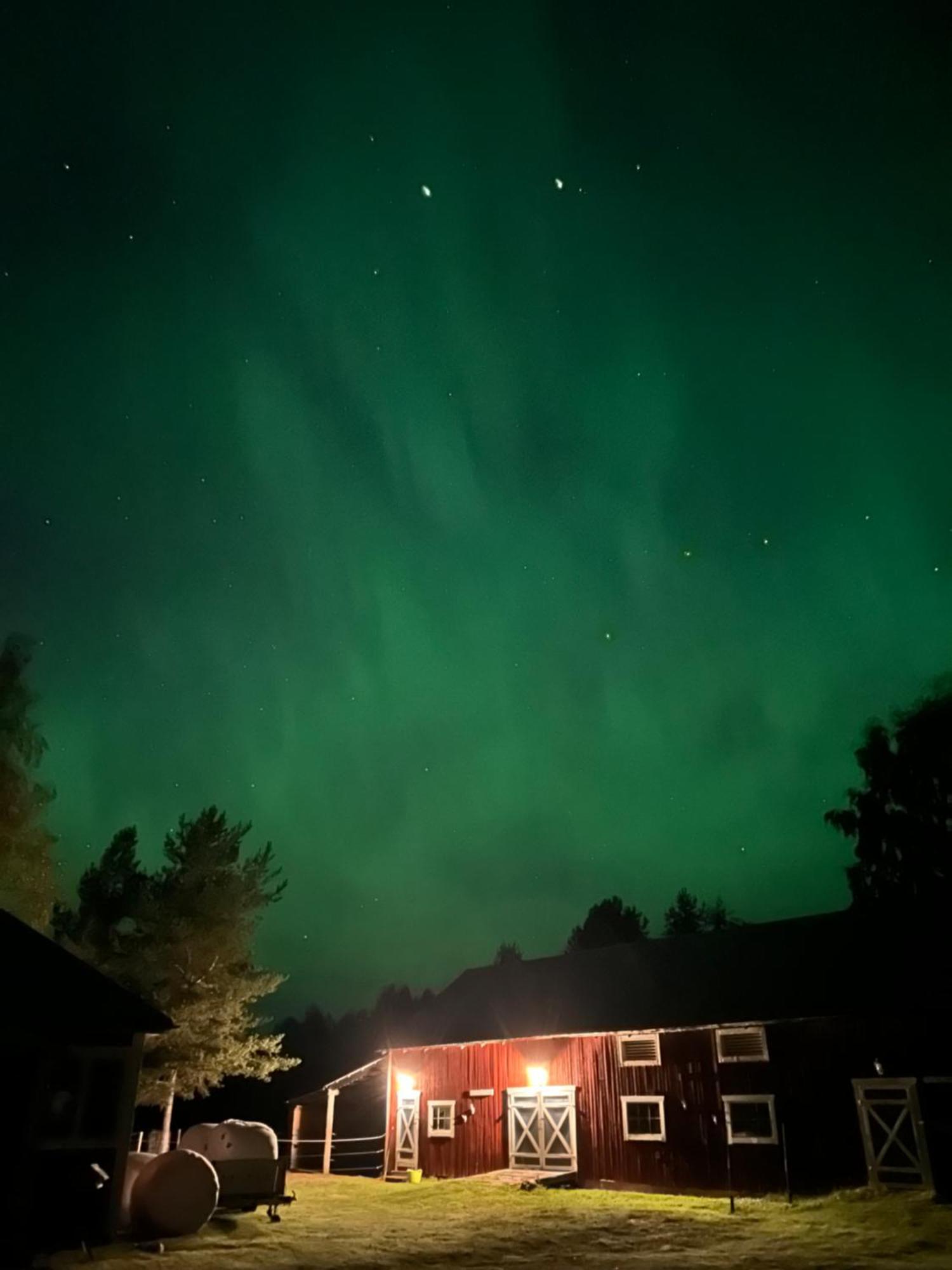 Hus I Ljuset Villa Näsåker Eksteriør bilde